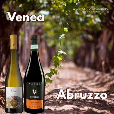 venea italiaanse rode en witte wijn uit Abruzzo, Montepulciano d'Abruzzo, Pecorino, lekkere en goedkope wijn kopen