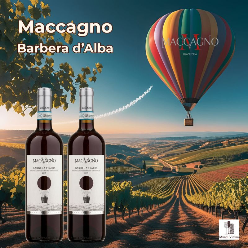 Maccagno Barbera d’Alba italiaanse rode topwijn uit Piëmonte (Noord-Italië)
