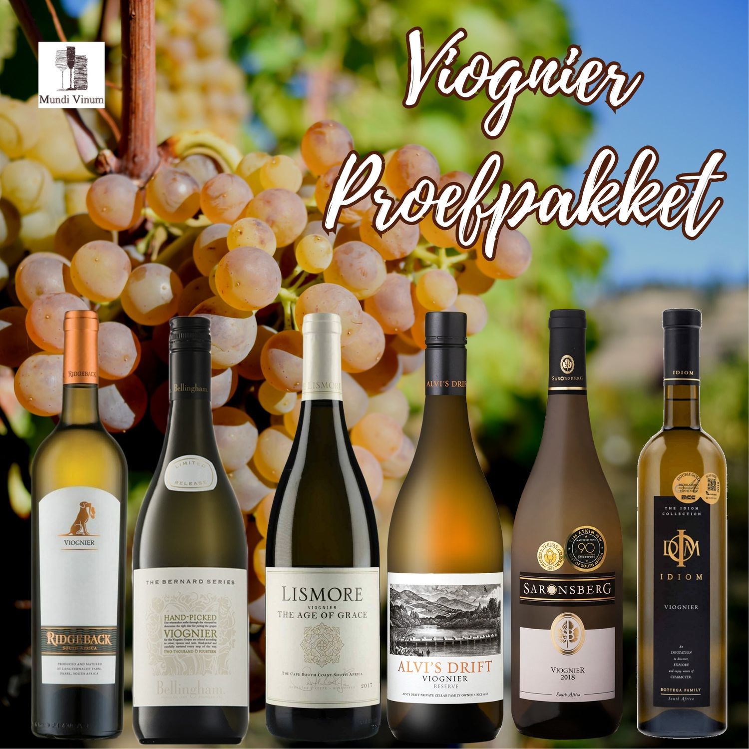 Zuid-Afrikaanse Viognier witte wijn in proefpakket – volle smaak, florale tonen, Viognier wijn kopen