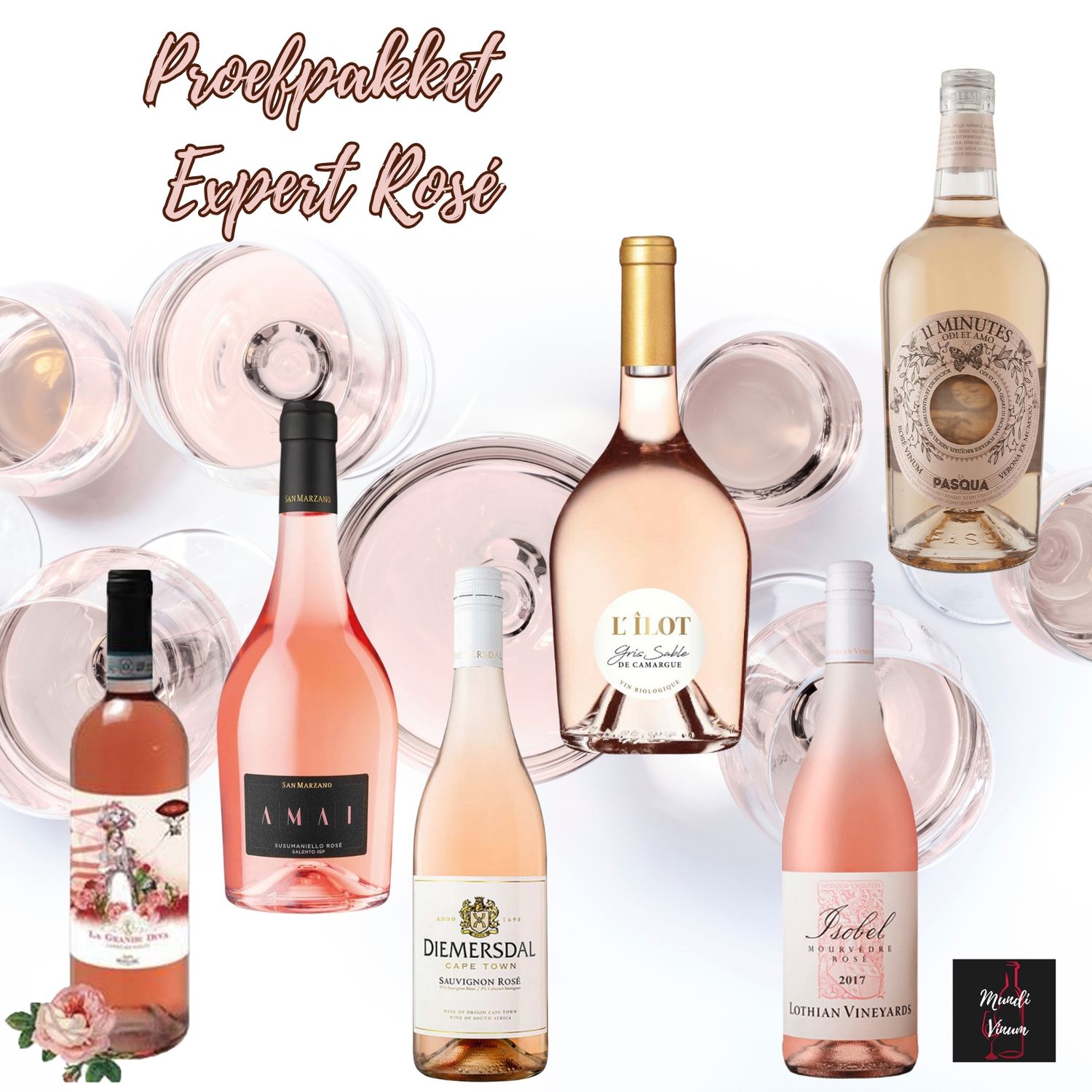 Proefpakket roséwijnen uit de Provence, Zuid-Afrika, Italië – frisse, elegante smaken voor zonnige zomerdagen op het terras