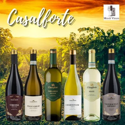 Casalforte proefpakket met 6 flessen Italiaanse wijn – Corvina, Soave, Chardonnay, Garganega, Pinot Grigio en Valpolicella