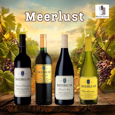 Meerlust Stellenbosch, specialist Zuid‑Afrikaanse wijnen met Rubicon en wereldklasse Bordeaux‑blends, Mundi Vinum Herent