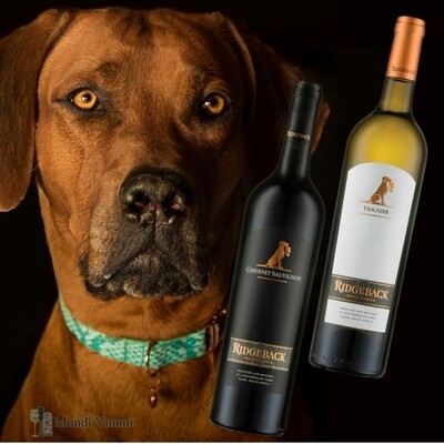 Ridgeback Wines Paarl, Kaaps wijndomein met Ridgeback‑hond en terroirwijnen, wijnhandel Mundi Vinum Herent