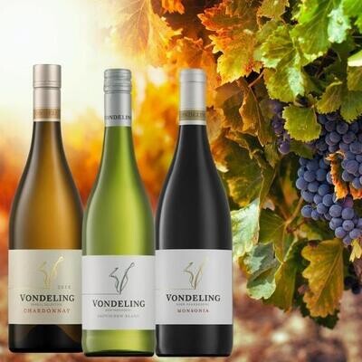 Vondeling Wines, elegante Kaapse terroirwijnen uit Paarl, Mundi Vinum Herent