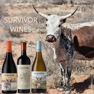 Survivor