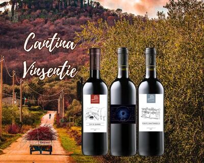 Cantina Vinsentie wijndomein in Umbrië (Italië) – Belgisch wijnmaker met innovatieve rode wijnen