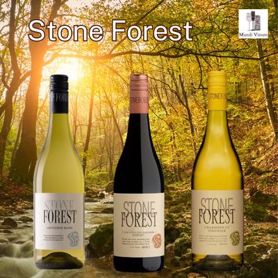 Stone Forest, budgetvriendelijke Kaapse wijnen met terroir en moderne verfijning, wijnhandel Mundi Vinum Herent