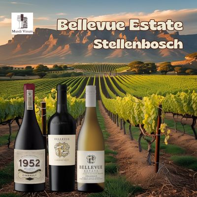 Bellevue Estate op de Bottelary Hills, historisch domein en Pinotage‑pionier in Stellenbosch