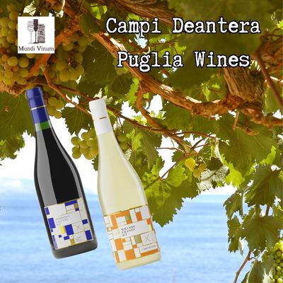 CAMPI DEANTERA wijnhuis in Puglia - Italiaanse witte en rode wijnen