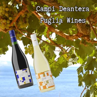 Malvasia - Italiaanse witte druivensoort uit Puglia Salento Italië