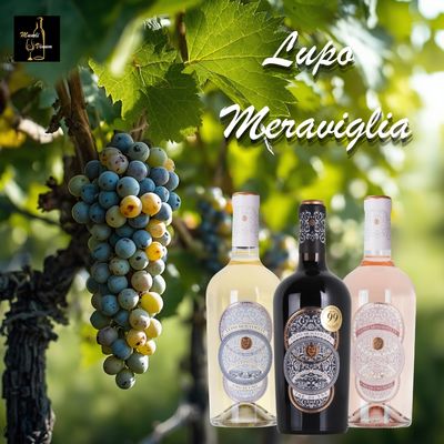 Lupo Meraviglia Italiaanse wijnen uit Puglia (Italië)