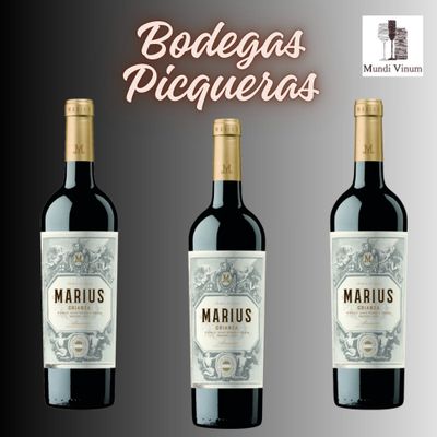 Wijngaarden Bodegas Picqueras in de Spaanse wijnstreek Almansa, bekend om karaktervolle kwaliteitswijnen, Mundi Vinum Herent
