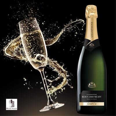 bernard remy champagne grand cru reims kopen online 