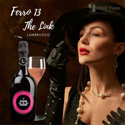Ferro 13 The Link Lambrusco – fruitige rosé bubbel, perfect bij sorbets, picknick en lichte maaltijden