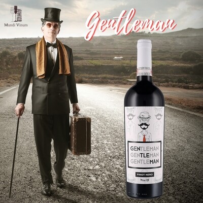 FERRO 13 - THE GENTLEMAN