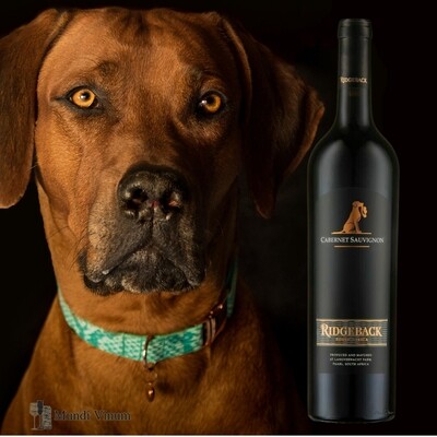 Ridgeback Cabernet Sauvignon, krachtige Kaapse wijn met hond‑etiket en cassis, Mundi Vinum Herent