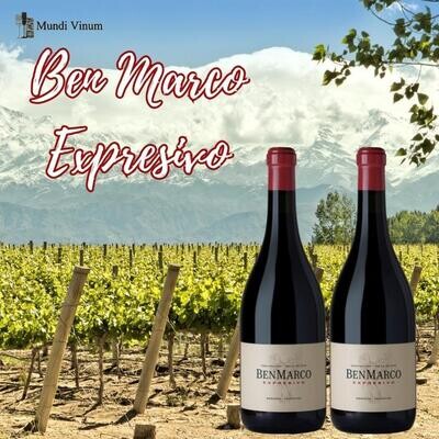 ben marco malbec argentijnse argentinië rode wijn kopen druif