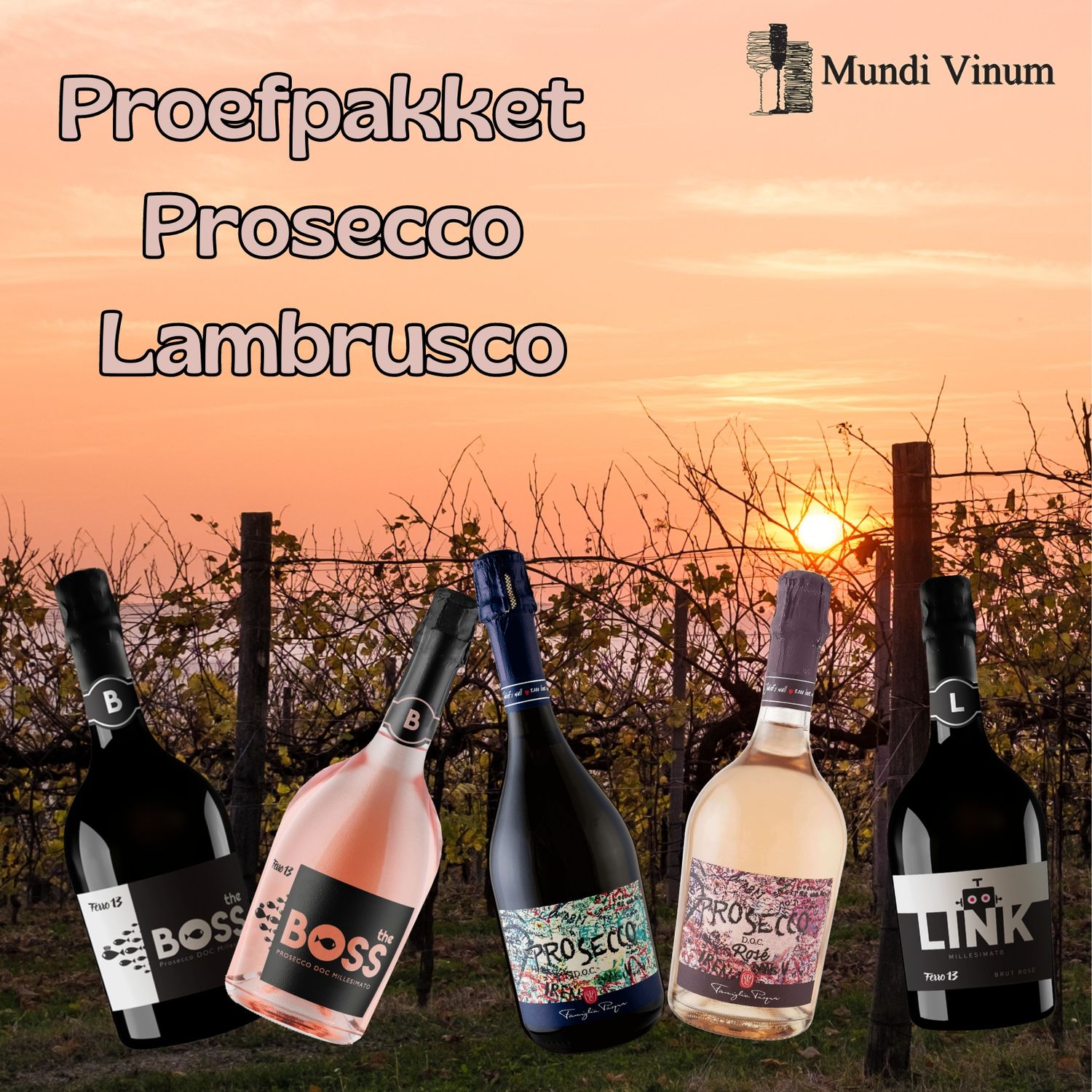 Proefpakket Prosecco - Lambrusco - Spumante Italië proefpakket prosecco uit Italië kopen !
