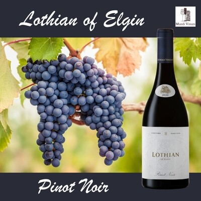 lothian vineyard of elgin pinot noir zuid-afrikaase rode wijn