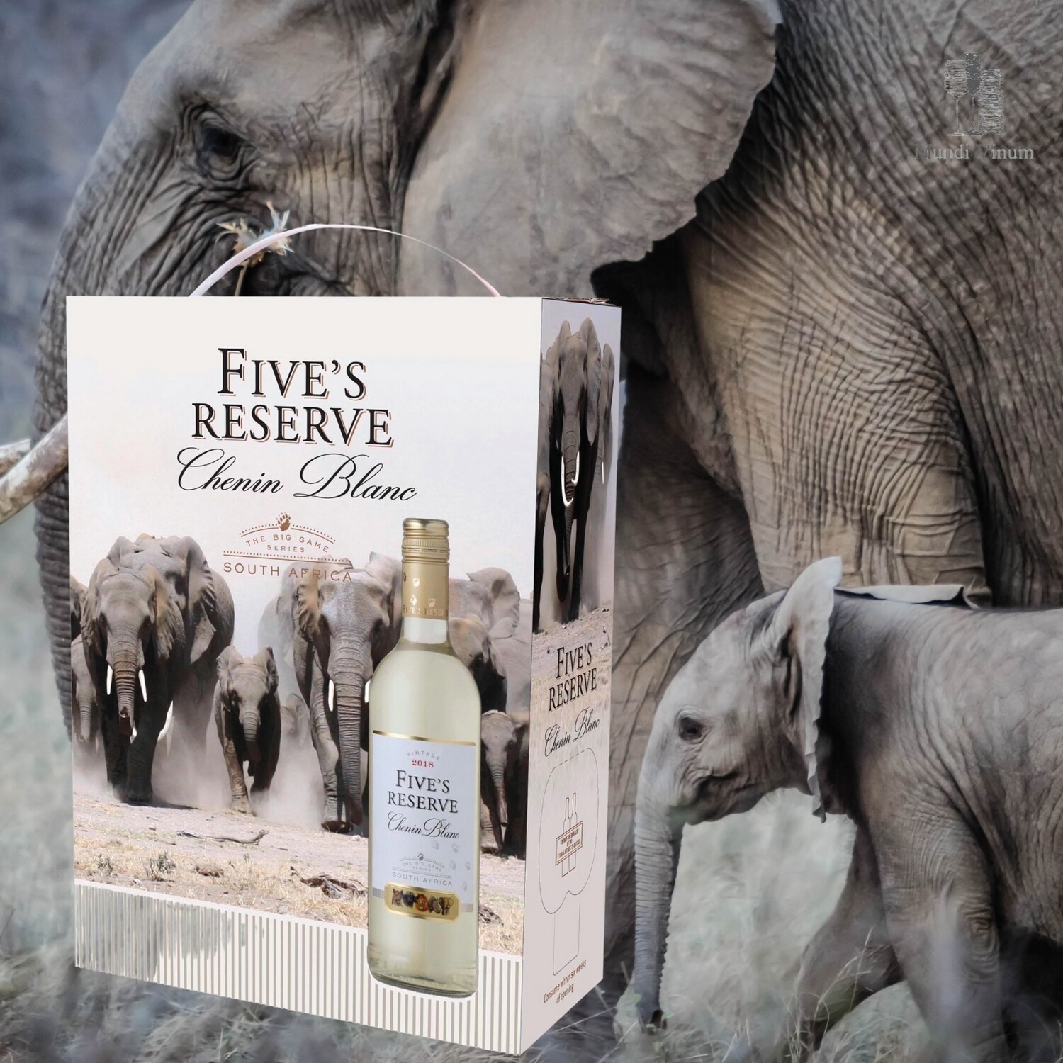 Five Réserve Chenin Blanc, frisse Kaapse Chenin in 3L box wijn in vatjes met citrus en appel, Mundi Vinum Herent
