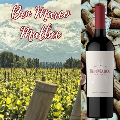 BenMarco Malbec fles: fruitige Argentijnse rode wijn met bramen, kersen, viooltjes en zachte tannines