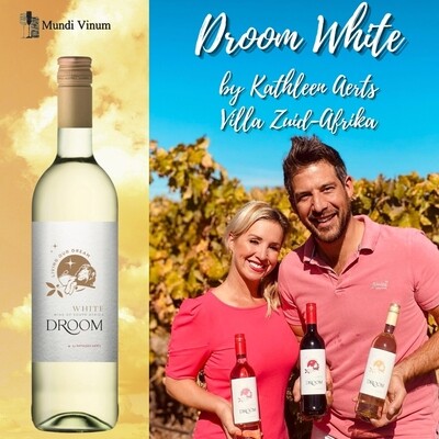 droom white witte wijn villa zuid-afrika kathleen aerts vtw steven van hoof mundi vinum prik & tik mundi vinum kaapwijn kaapsewijn joyvino magnus wijnen spirits leuven herent wijnhandel