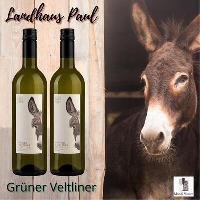 Landhaus Paul Grüner Veltliner – frisse Oostenrijkse wijn, ideaal bij asperges, vegetarische gerechten en Thaise keuken