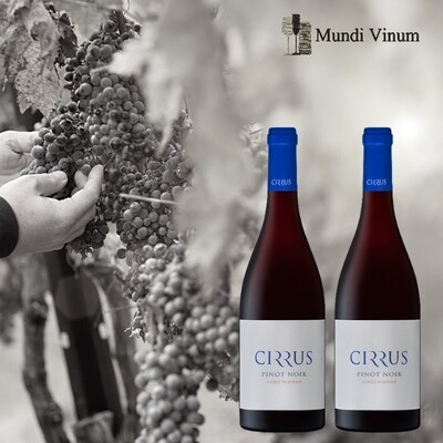 Cirrus Pinot Noir, iconisch Kaaps rood met internationale erkenning en lange elegante afdronk, Mundi Vinum Herent