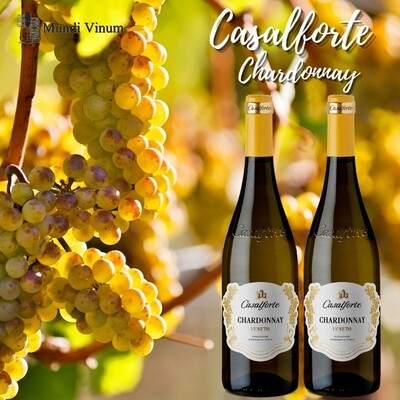 casalforte chardonnay italiaanse witte wijn kopen wijnhandel herent leuven