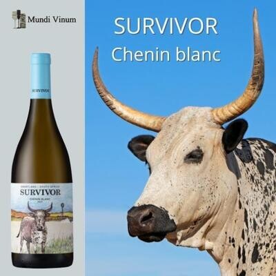 survivor chenin blanc witte wijn zuid-afrikaanse kopen swartland