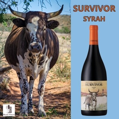 SYRAH SURVIVOR WINE WIJN KOPEN ZUID-AFRIKAANSE RODE SYRAH WIJNHANDEL MUNDI VINUM HERENT LEUVEN ONLINE 