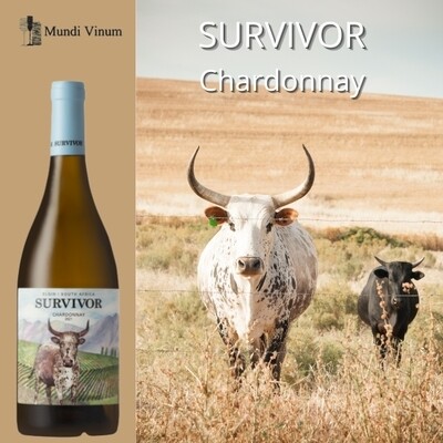 survivor chardonnay zuid-afrikaanse witte wijn elgin kopen mundi vinum wijnhandel leuven herent