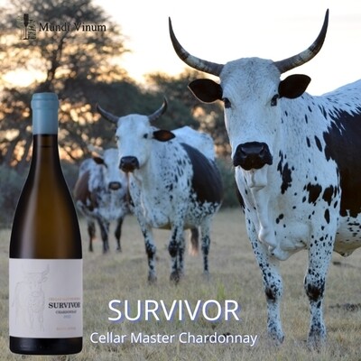Survivor Cellarmaster Chardonnay, ideaal bij Sint‑Jakobsschelpen en witte vis, wijnhandelaar Mundi Vinum Herent