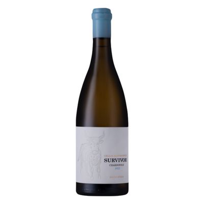 Survivor Cellarmaster Chardonnay, premium Tradouw terroirwijn met iconisch koe‑etiket, Mundi Vinum Herent