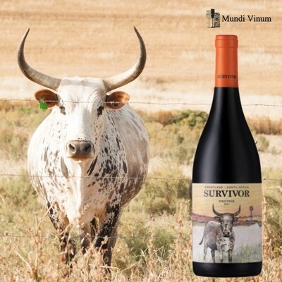 SURVIVOR PINOTAGE RODE WIJN KOPEN ZUID-AFRIKA ZUID-AFRIKAANSE DRUIF