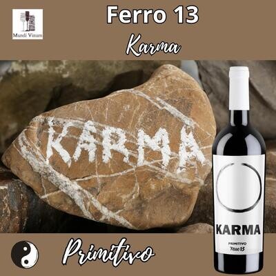 Ferro 13 Karma – Primitivo met hip etiket, vol rood fruit, kruidigheid en ronde structuur