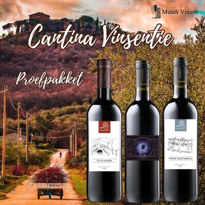 Proefpakket Cantina Vinsentie – selectie rode, witte en rosé wijnen uit Umbrië door Belgische wijnmaker uit Leuven