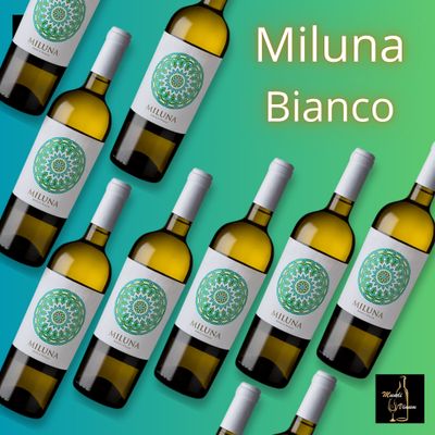 Miluna Bianco uit Puglia – frisse mediterrane witte wijn met florale aroma’s en zachte, elegante afdronk