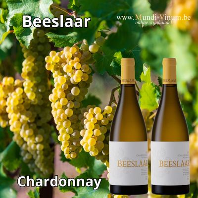 Beeslaar Chardonnay van hooggelegen leisteen‑ en granietbodems, fris, goudgeel en elegant