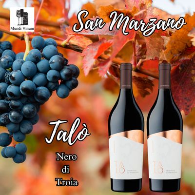 San Marzano - Talo - Nero di Troia