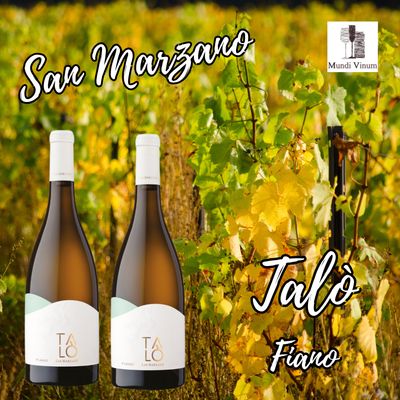 San Marzano Talò Fiano – elegante witte wijn ideaal bij salades, zeevruchten, lichte antipasti en frisse apero