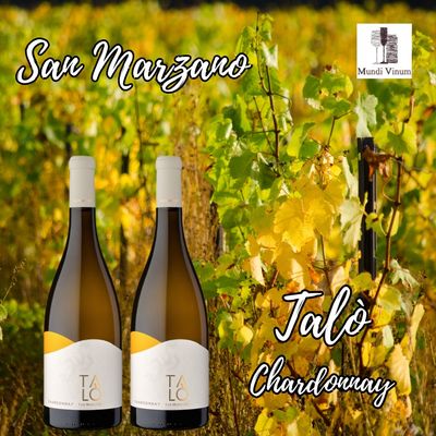 Talò Chardonnay – volle Puglia‑wijn die schittert bij visgerechten, romige pasta’s, zachte kazen en mediterrane apero