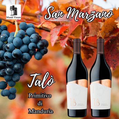 san marzano - talo - primitivo di manduria - italiaanse rode wijn uit Puglia