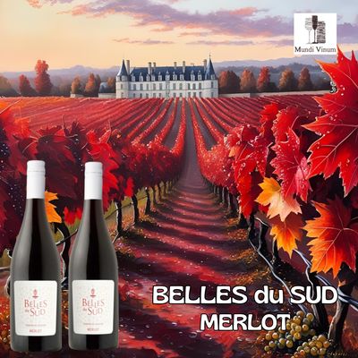Belles du Sud Merlot – zachte rode wijn met fruitige aroma’s, te koop bij Mundi Vinum
