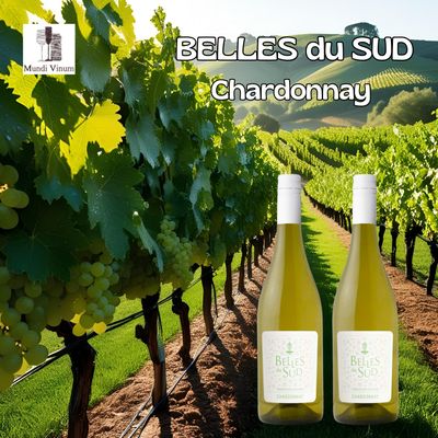 Belles du Sud Chardonnay – een elegante witte wijn uit Languedoc, Frankrijk. Helder strogeel met gouden schittering, aroma’s van appel, peer en citrus met een vleugje honing. Online verkrijgbaar bij Mundi Vinum