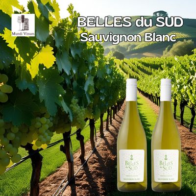"Belles du Sud Sauvignon Blanc – een frisse witte wijn uit Languedoc, Frankrijk. Licht strogeel met groene reflecties, aroma’s van citrusvruchten zoals limoen en grapefruit, aangevuld met tonen van groene appel en kruisbessen. Online verkrijgbaar bij Mundi Vinum