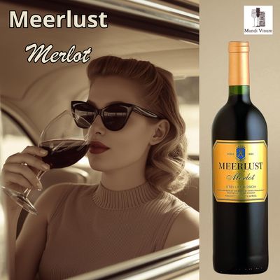 Meerlust Merlot rode wijn uit Stellenbosch - Zuid-Afrikaanse topwijn