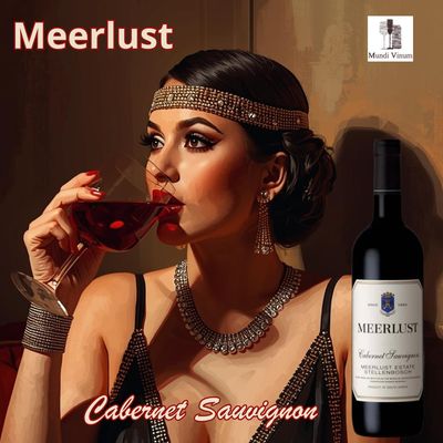 Meerlust Estate Cabernet, intense Kaapwijn met donkere vruchten en elegante tannines, Mundi Vinum Herent