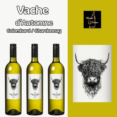 "Fles Vache d'Automne Chardonnay Colombard wijn uit de Gascogne streek in Frankrijk. Een elegante witte wijn gemaakt van 80% Colombard en 20% Chardonnay druiven. Frisse en fruitige aroma’s van wit steenfruit en citrus, met een verfijnde smaak en zachte afdronk. Perfect als aperitief of bij lichte gerechten