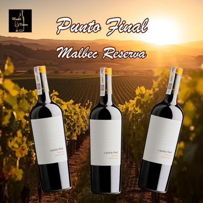 Renacer winery in Mendoza – modern Argentijns domein met top‑Malbecs zoals Punto Final Reserva